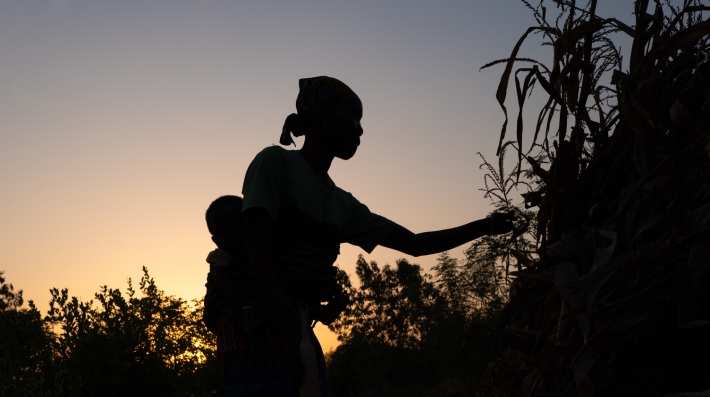A silhouette of a woman with a baby on her back, appears to touch a plant