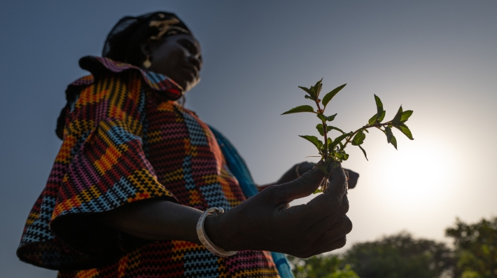 A woman holds a plant against the backdrop of the midday sun