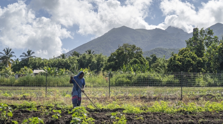 A farmer in his fields with a mountain in the background