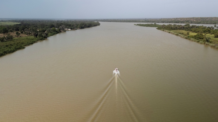 Aerial view of a river 