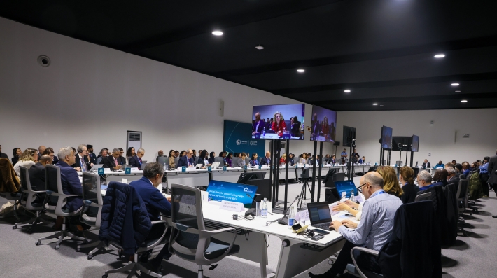 UNEP COP29 High Level Roundtable for the Global Cooling
