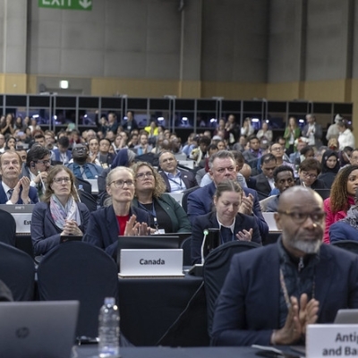 plenary