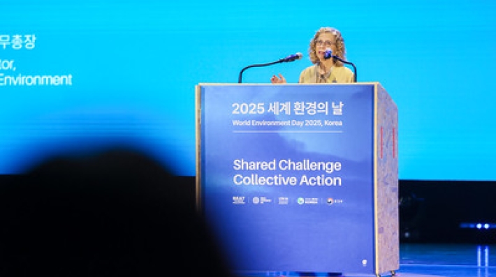 UNEP Executive Director on World Environment Day 2025