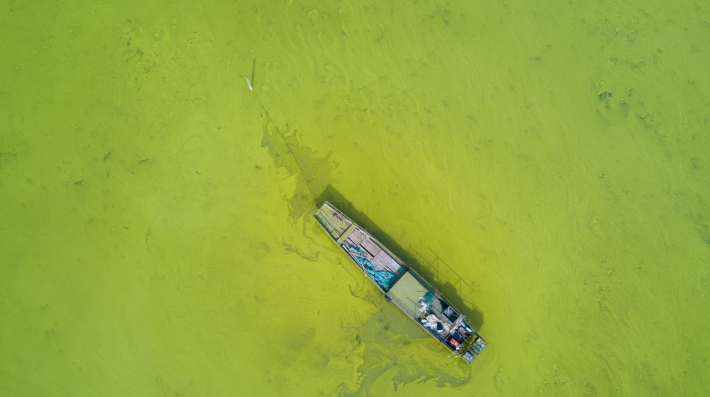 An overhead view of a boat surrounding by algae