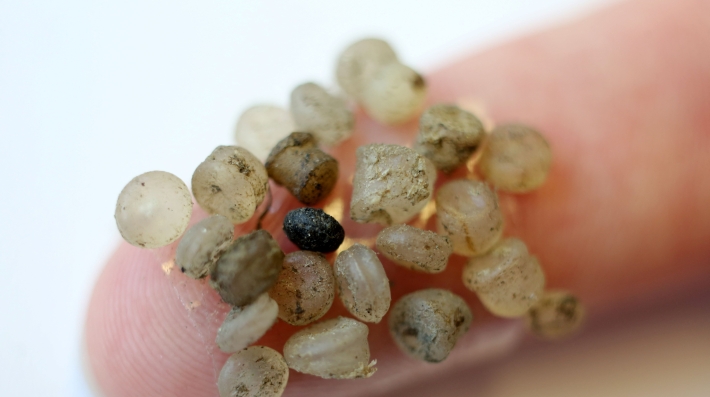  Small plastic balls on a fingertip 