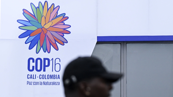 A man walking in front of a colourful sign.