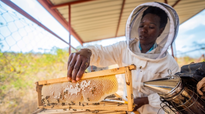A beekeeper