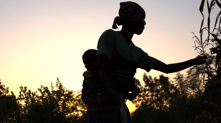 A Senegalese Farmer