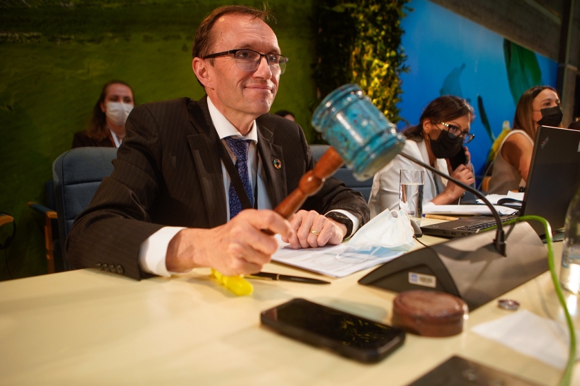 UN Environment Assembly President brings down the gavel on the resolution. Credit: UNEP