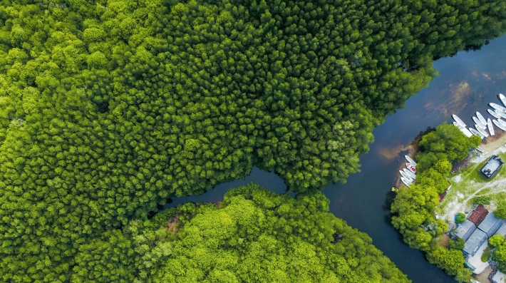 Body of water surrounded by trees