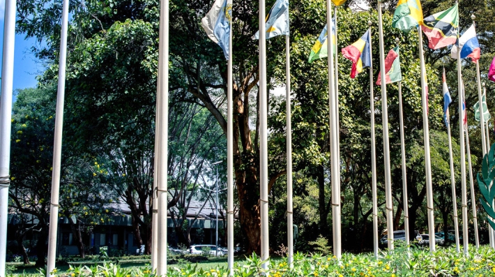 Flags on campus