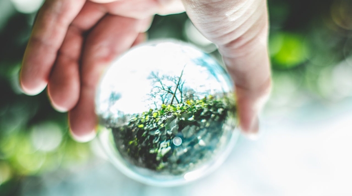 A reflection of grass in a ball