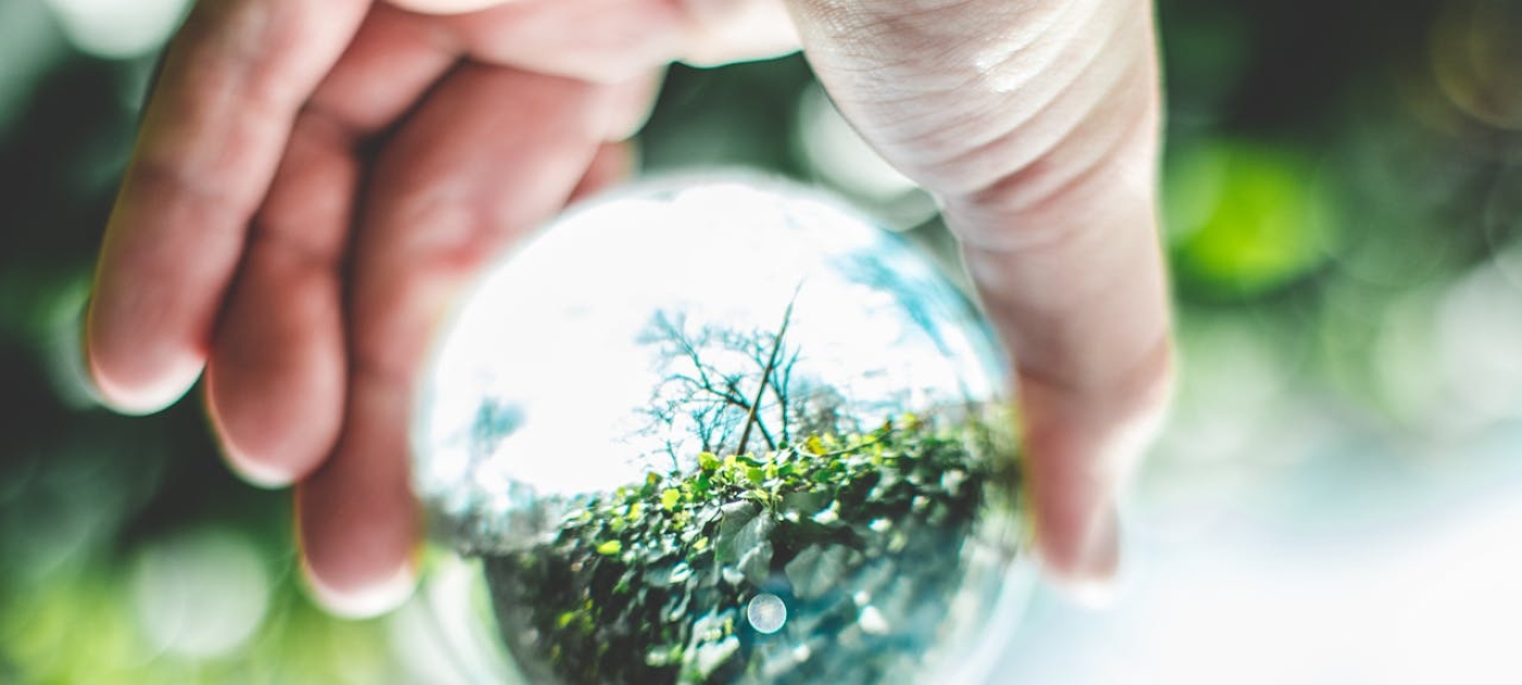Photo by Pexels/Mac Mullins