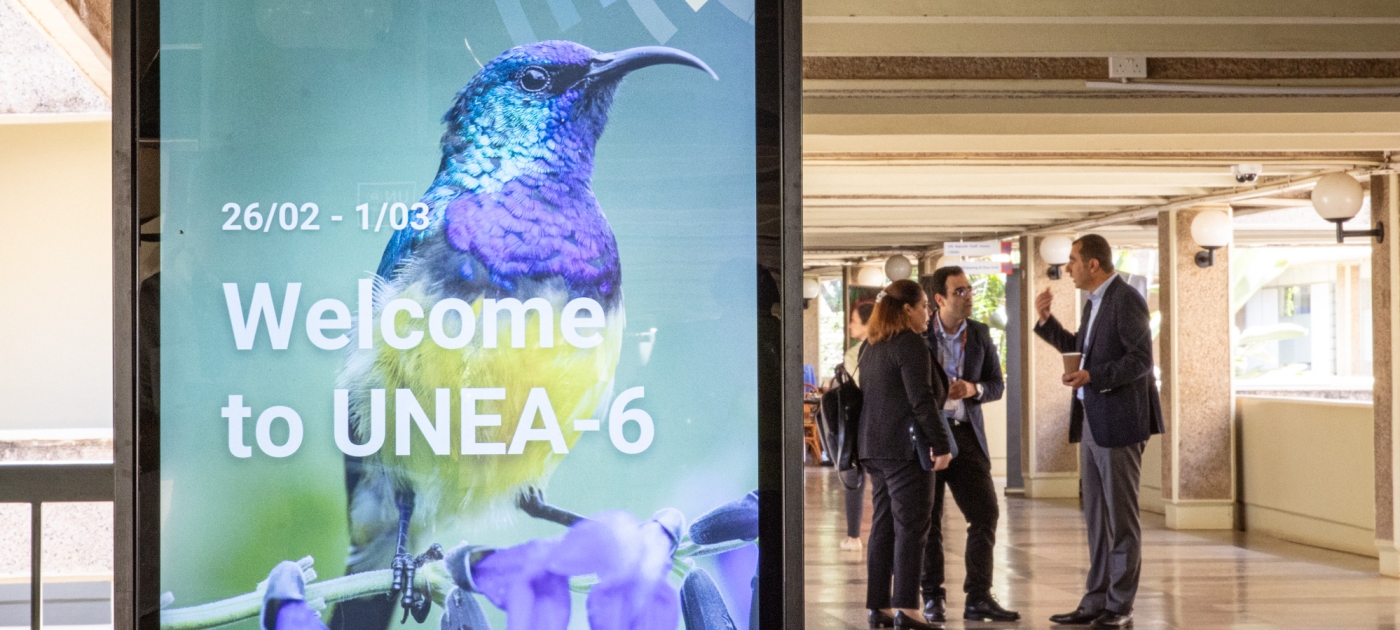 Billboard of UNEA-6 with dates and a picture of a bird. Delegates are standing next to it, talking.