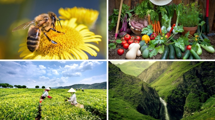 biodiversity