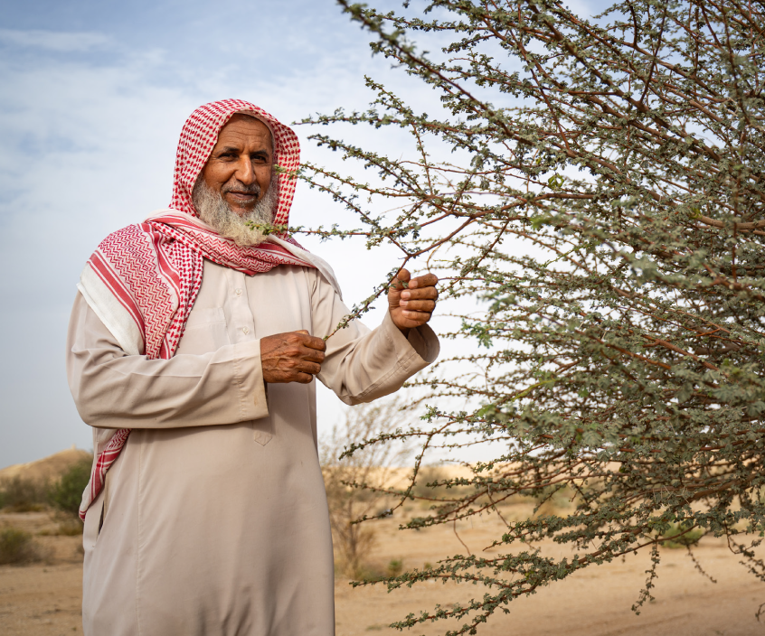 A man with a long white beard holds the branch of a shrub