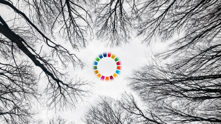 Annual Report 2023 Banner Image