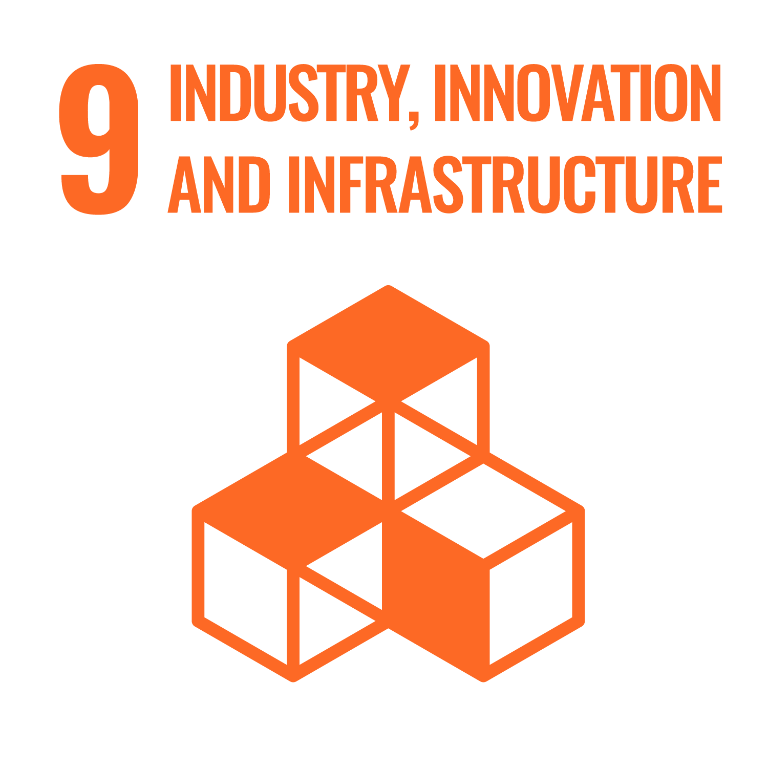 SDG 9 icon