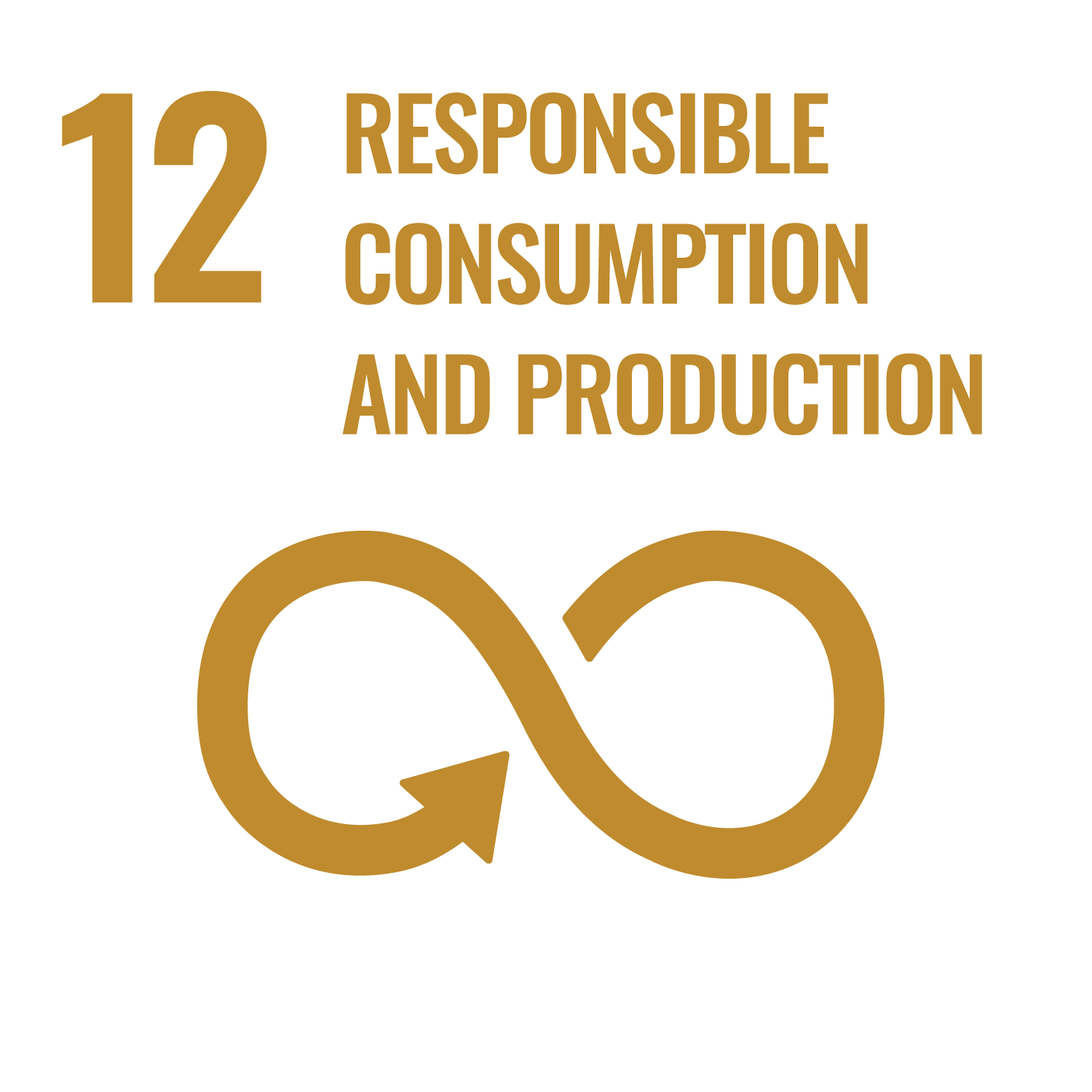 SDG 12 icon