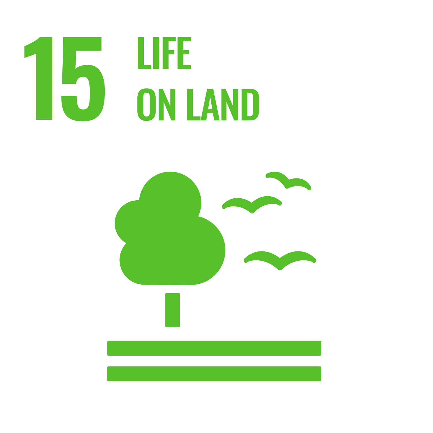 SDG 15 icon