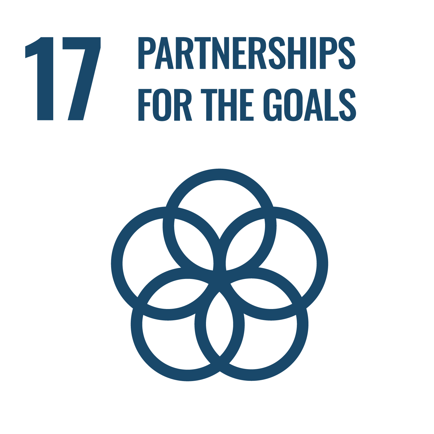 SDG 17 icon