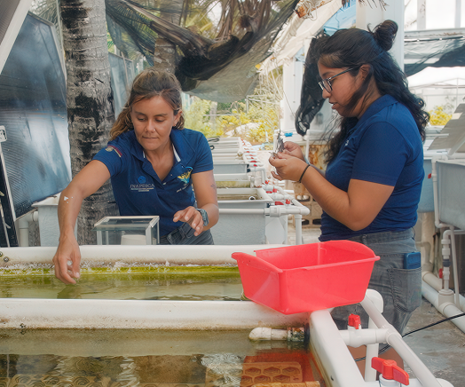 Two women surveying a tank full of crabs 