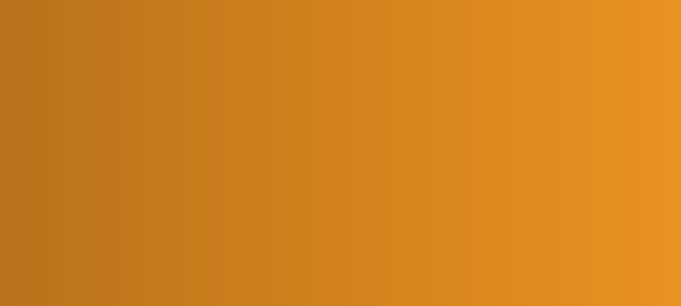 SDG 11 banner image