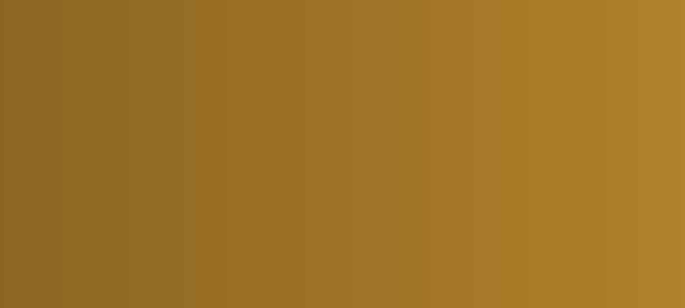 SDG 12 banner image
