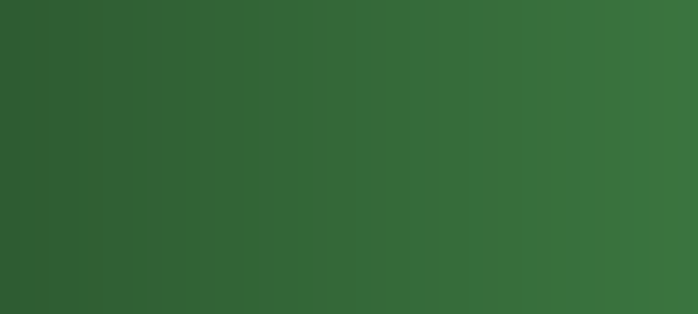 SDG 13 banner image