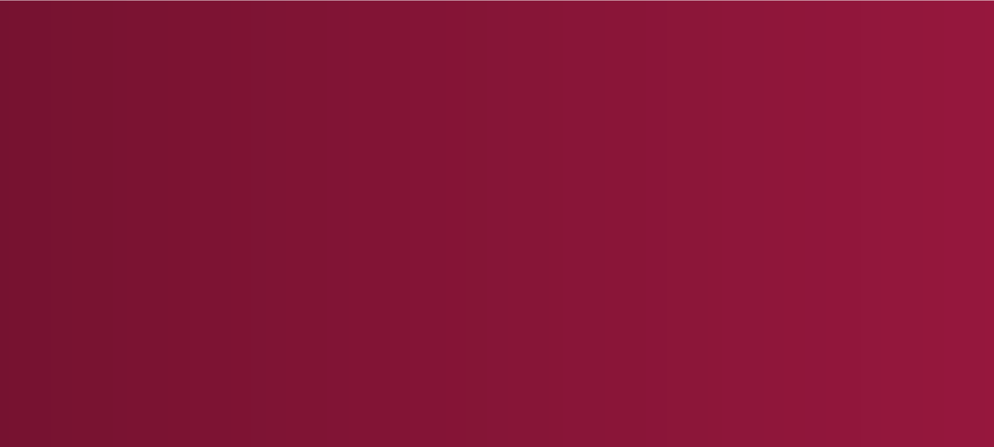 SDG 8 banner image
